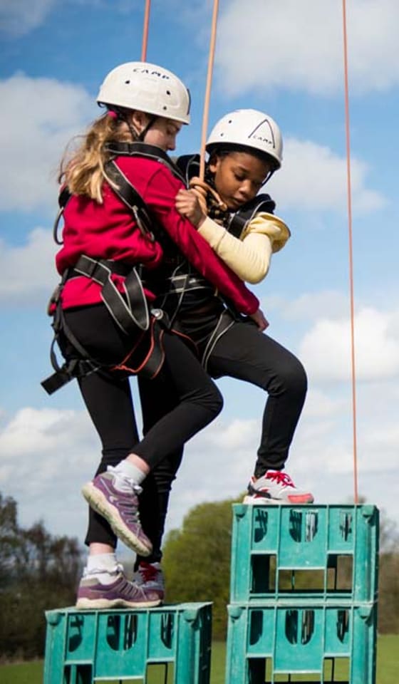 Two Cubs in helmets and harnesses balancing on a stack of crates.